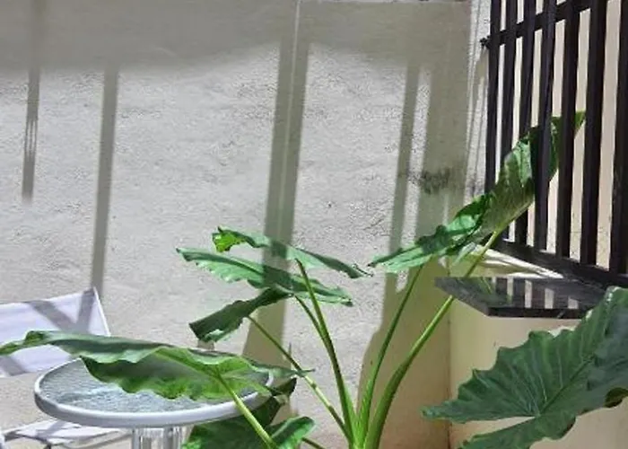 Casa Girasol *