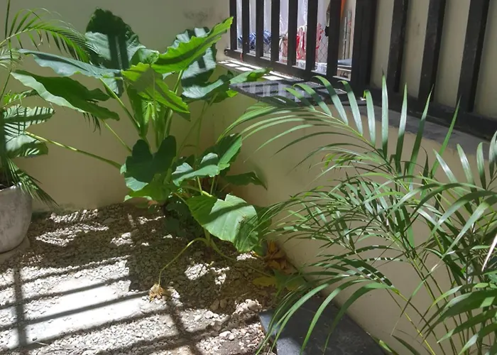 Casa Girasol * Tulum