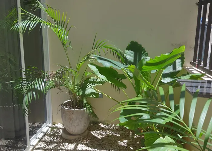 Casa Girasol Apartment Tulum
