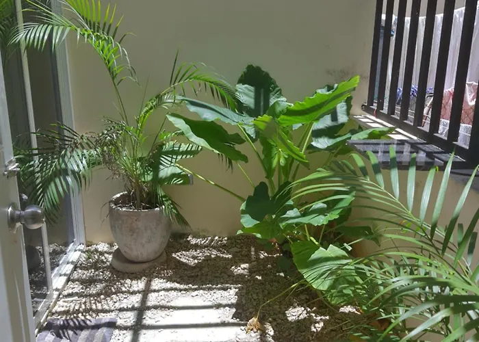 Casa Girasol